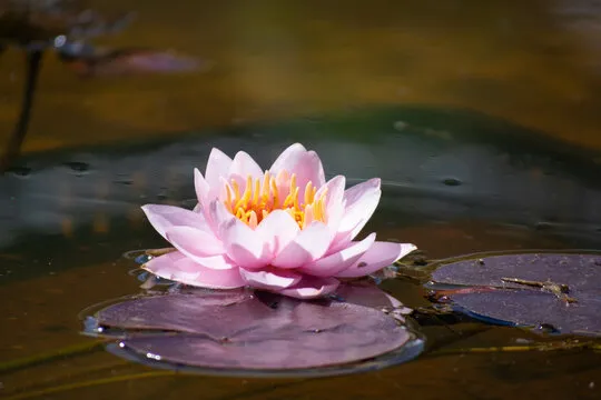 沐鸣2 娱乐游戏